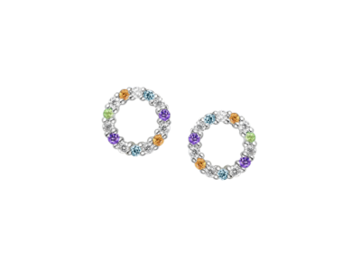 Circle of Colour Earrings