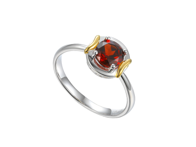 Compass Garnet Ring