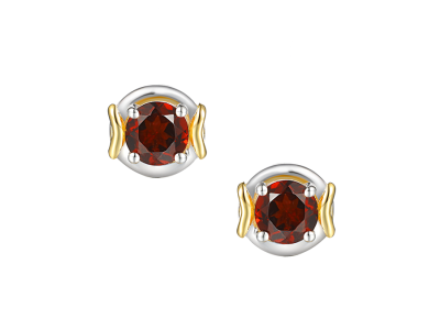 Compass Garnet Earrings